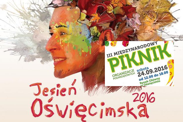 Międzynarodowy Piknik Organizacji Pozarządowych