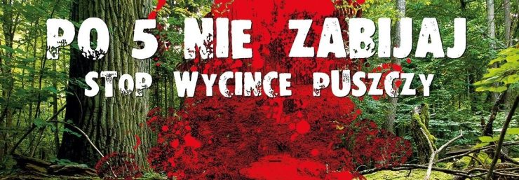 Bronimy Puszczy Białowieskiej w Myślenicach